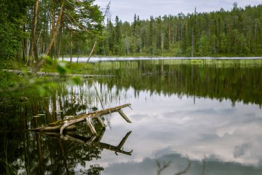 Finlandiya'da bir güzel göl manzara