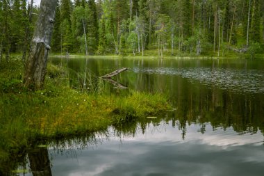 Finlandiya'da bir güzel göl manzara