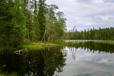 Finlandiya'da bir güzel göl manzara