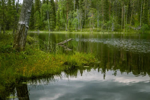 Finlandiya'da bir güzel göl manzara