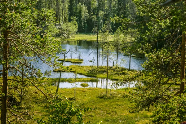 Красивый пейзаж озера в Финляндии — стоковое фото