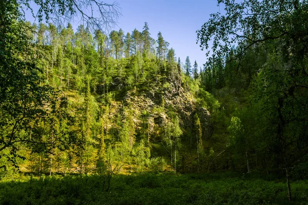 Piękny las krajobraz — Zdjęcie stockowe