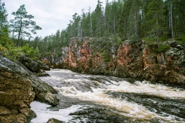 Bir nehir rapids Finlandiya ile güzel bir sahne