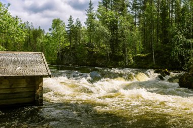 Bir nehir rapids Finlandiya ile güzel bir sahne