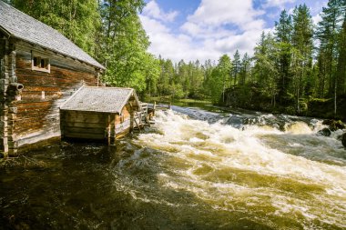 Bir nehir rapids Finlandiya ile güzel bir sahne