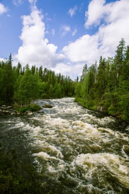 Bir nehir rapids Finlandiya ile güzel bir sahne