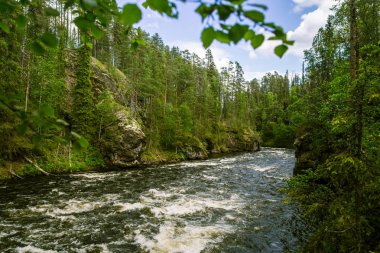 Bir nehir rapids Finlandiya ile güzel bir sahne