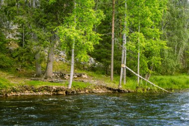 Bir nehir rapids Finlandiya ile güzel bir sahne