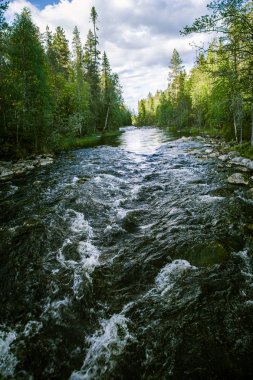 Bir nehir rapids Finlandiya ile güzel bir sahne