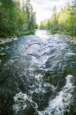 Bir nehir rapids Finlandiya ile güzel bir sahne