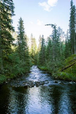 Bir nehir rapids Finlandiya ile güzel bir sahne