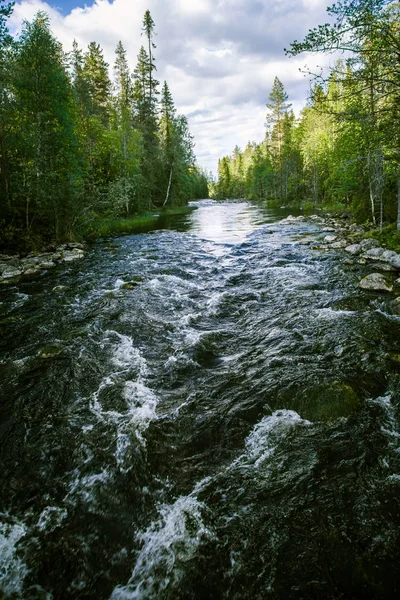 Bir nehir rapids Finlandiya ile güzel bir sahne