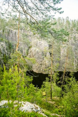 Finlandiya'da bir güzel kayalık orman manzara
