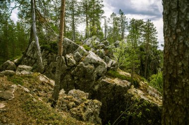 Finlandiya'da bir güzel kayalık orman manzara