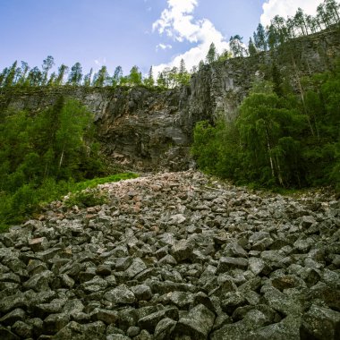 Finlandiya'da bir güzel kayalık orman manzara