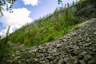 Finlandiya'da bir güzel kayalık orman manzara