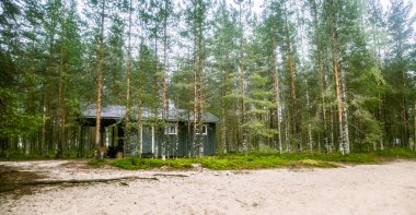 Fin ormanın ortasında güzel bir küçük ahşap yapı