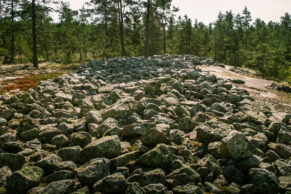 Finlandiya'da bir güzel kayalık orman manzara