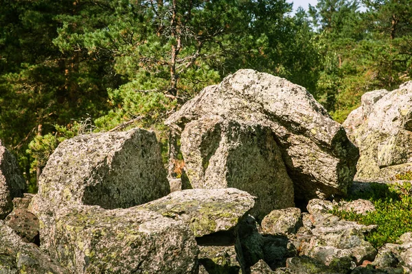 Un hermoso paisaje de bosque rocoso en Finlandia — Foto de Stock