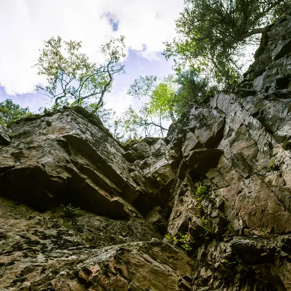 Uma bela paisagem florestal rochosa na Finlândia — Fotografia de Stock