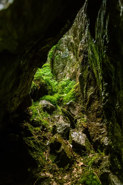 Uma bela paisagem florestal rochosa na Finlândia — Fotografia de Stock