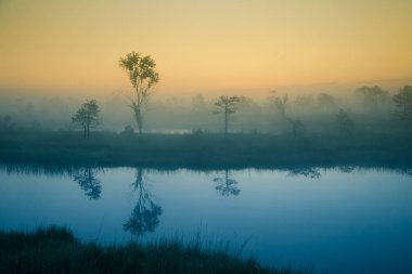 Bir rüya gibi bataklık manzara güneş doğmadan önce. Renkli, puslu bir görünüm. Bir göl ile Marsh sahne. Güzel sanatsal stili fotoğraf.