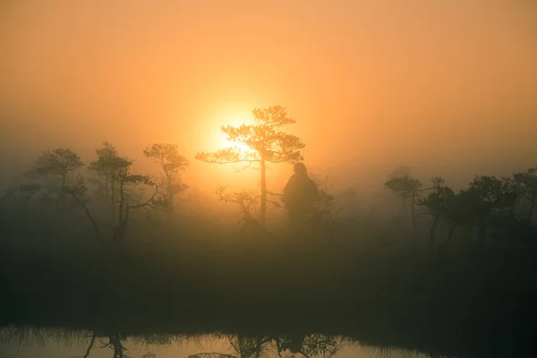 Un hermoso y colorido paisaje al amanecer en un pantano. Paisaje de pantano de ensueño y neblina por la mañana. Colorido, aspecto artístico . — Foto de Stock