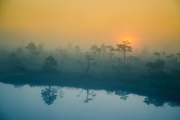Un hermoso y soñador paisaje matutino de sol saliendo en un pantano brumoso. Arte, colorido paisaje foto . — Foto de Stock
