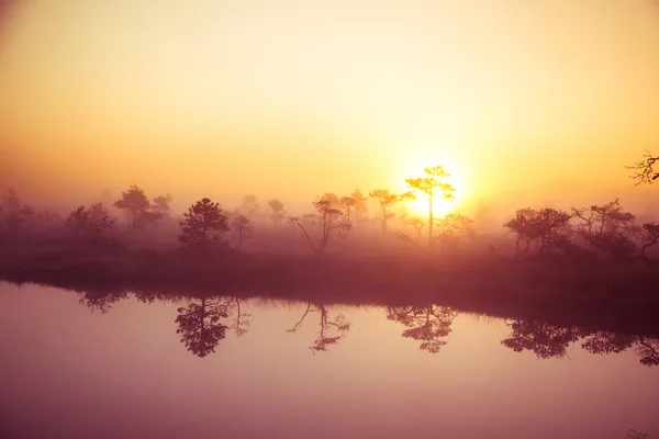 Un hermoso y soñador paisaje matutino de sol saliendo por encima de un pantano brumoso. Aspecto colorido y artístico. Paisaje de pantano vibrante en el norte de Europa . — Foto de Stock