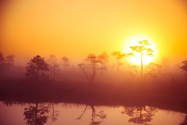 Un hermoso y soñador paisaje matutino de sol saliendo por encima de un pantano brumoso. Aspecto colorido y artístico. Paisaje de pantano vibrante en el norte de Europa . — Foto de Stock