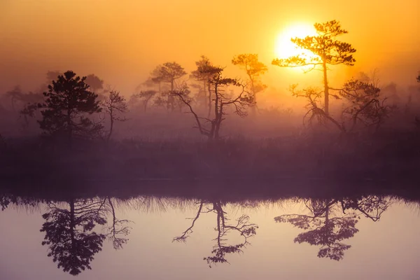 Un hermoso y soñador paisaje matutino de sol saliendo por encima de un pantano brumoso. Aspecto colorido y artístico. Paisaje de pantano vibrante en el norte de Europa . — Foto de Stock