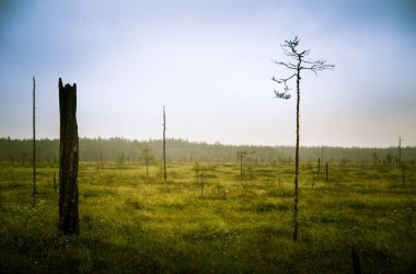 Finlandiya - rüya gibi sisli bir görünüm için bir güzel mire manzara