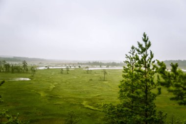 Finlandiya - rüya gibi sisli bir görünüm için bir güzel mire manzara