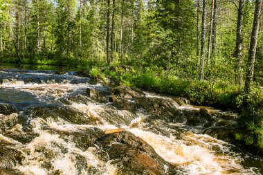Finlandiya için güzel bir şelale