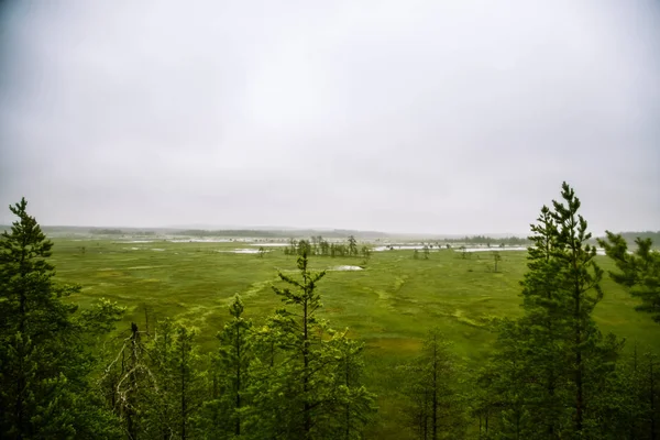 Finlandiya - rüya gibi sisli bir görünüm için bir güzel mire manzara