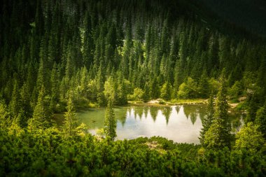 Tatry mountains, Slovakya için güzel bir göl. Güneşli bir günde dağ manzarası.