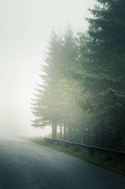 Bir yol ile bir güzel dağ manzarası