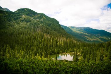 Güzel dağ göl manzara Tatry, Slovakya