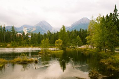 Güzel dağ göl manzara Tatry, Slovakya