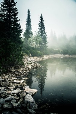 Bir sis Tatry, Slovakya güzel dağ gölde. Düşük doygunluk retro tarzı