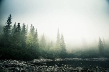Bir sis Tatry, Slovakya güzel dağ gölde. Düşük doygunluk retro tarzı