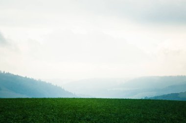 Bir güzel misty Slovakça dağ manzarası içinde düşük Tatras