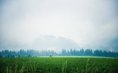 Bir güzel misty Slovakça dağ manzarası içinde düşük Tatras