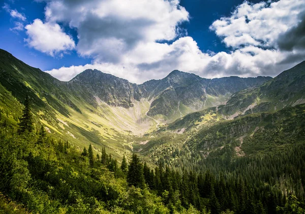 Güneşli bir günde güzel bir Tatry dağ manzarası
