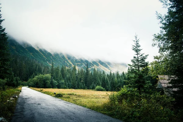 Bir yol ile bir güzel dağ manzarası