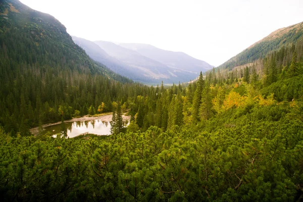Güzel dağ göl manzara Tatry, Slovakya