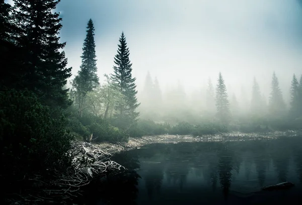 Bir sis Tatry, Slovakya güzel dağ gölde. Düşük doygunluk retro tarzı