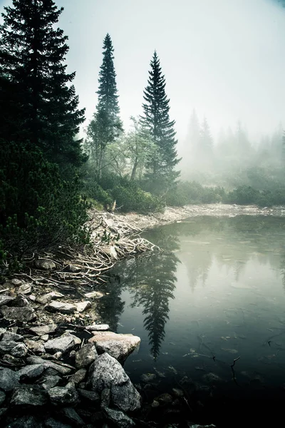 Bir sis Tatry, Slovakya güzel dağ gölde. Düşük doygunluk retro tarzı