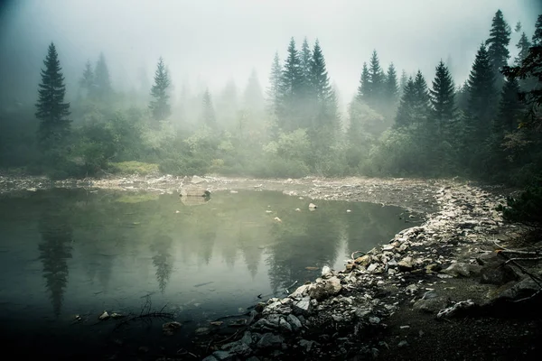 Bir sis Tatry, Slovakya güzel dağ gölde. Düşük doygunluk retro tarzı