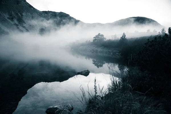 Bir sis Tatry, Slovakya güzel dağ gölde. Düşük doygunluk retro tarzı